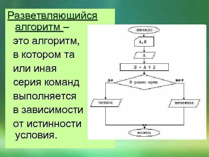 Алгоритм ветвления vs алгоритм линейной структуры OTUS. Онлайн-образование Дзен
