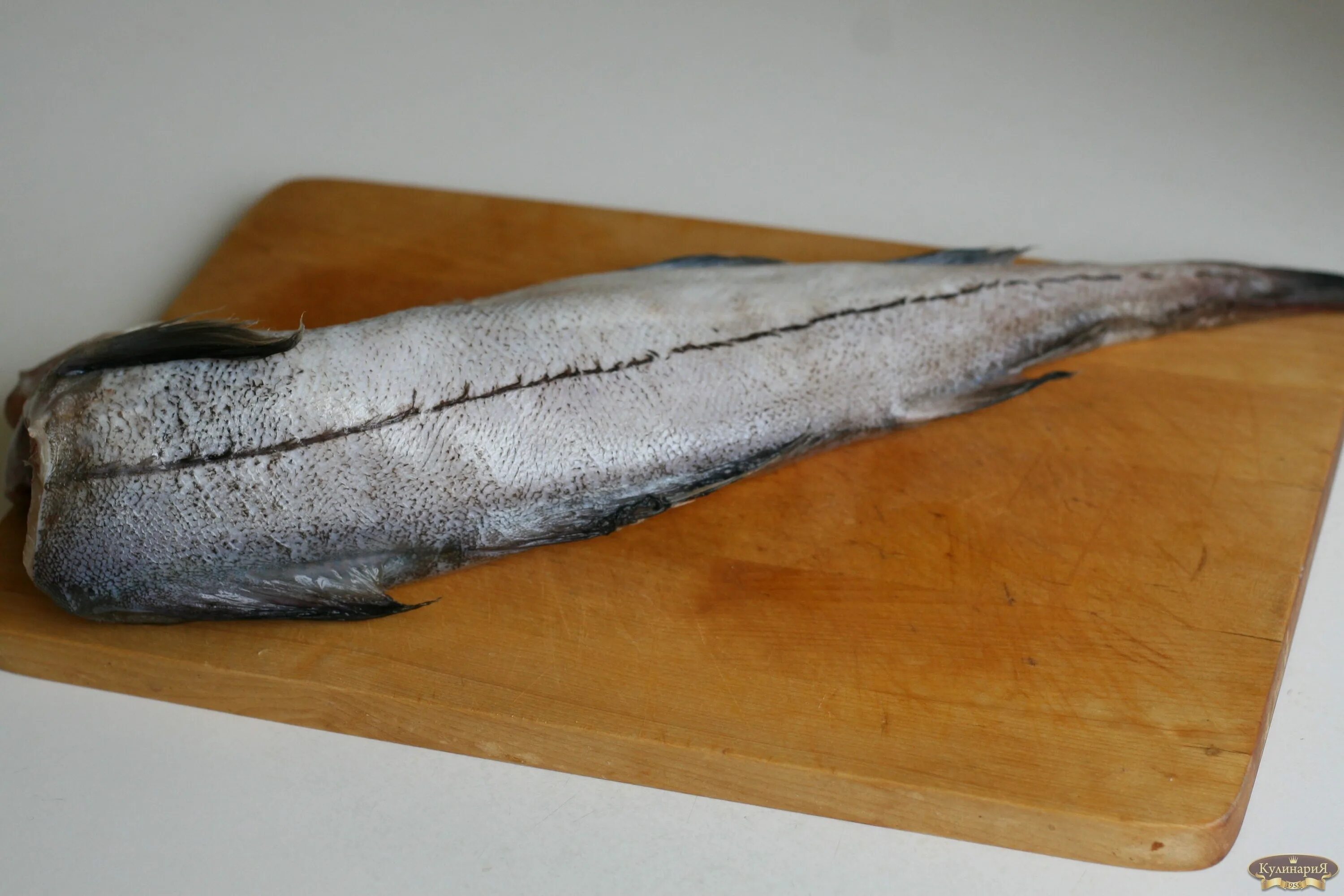 Морская рыба лимонелла. Белая морская рыба без чешуи. Речная рыба с мелкой чешуевой. Рыба с белым мясом без чешуи. Без чешуи.