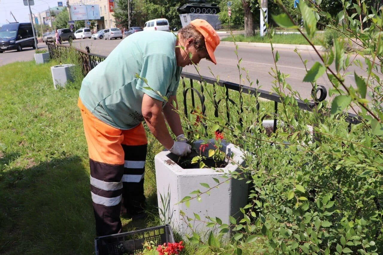 Https plant ru. Прополка цветников в городе. Высадка растений рабочими. Высадка цветов ЖКХ. Растения читы города.