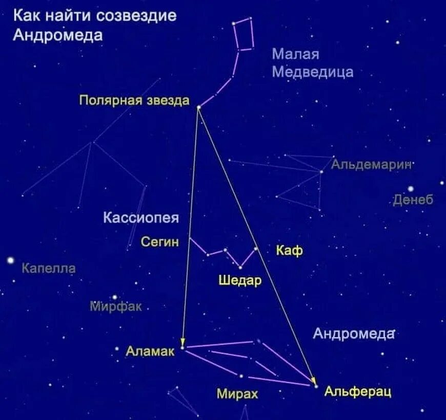 Млечный путь большая медведица. Схема созвездия Андромеда самая яркая звезда. Созвездие Кассиопея туманность Андромеды. Туманность Андромеды на карте звездного неба. Созвездие Андромеда с названиями звезд.