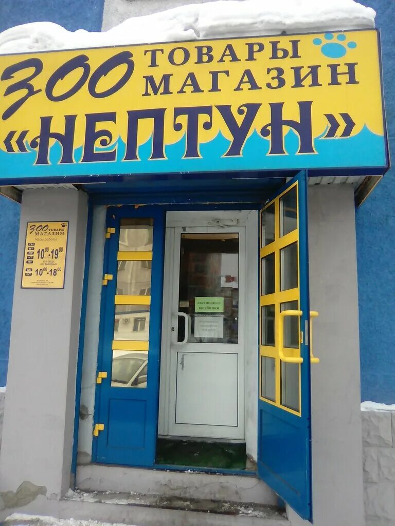 Ресторан нептун. Зоомагазин нептун междуреченск. Магазин нептун нижний. Васнецова 25 нижний новгород. Магазин нептун нижний.