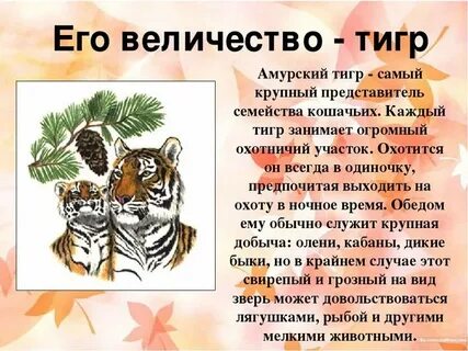 Краткое описание тигров