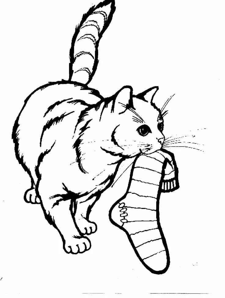 Раскраска кошка распечатать бесплатно формат а4 Cat Color Pages Cat coloring book, Cat coloring page, Cat colors