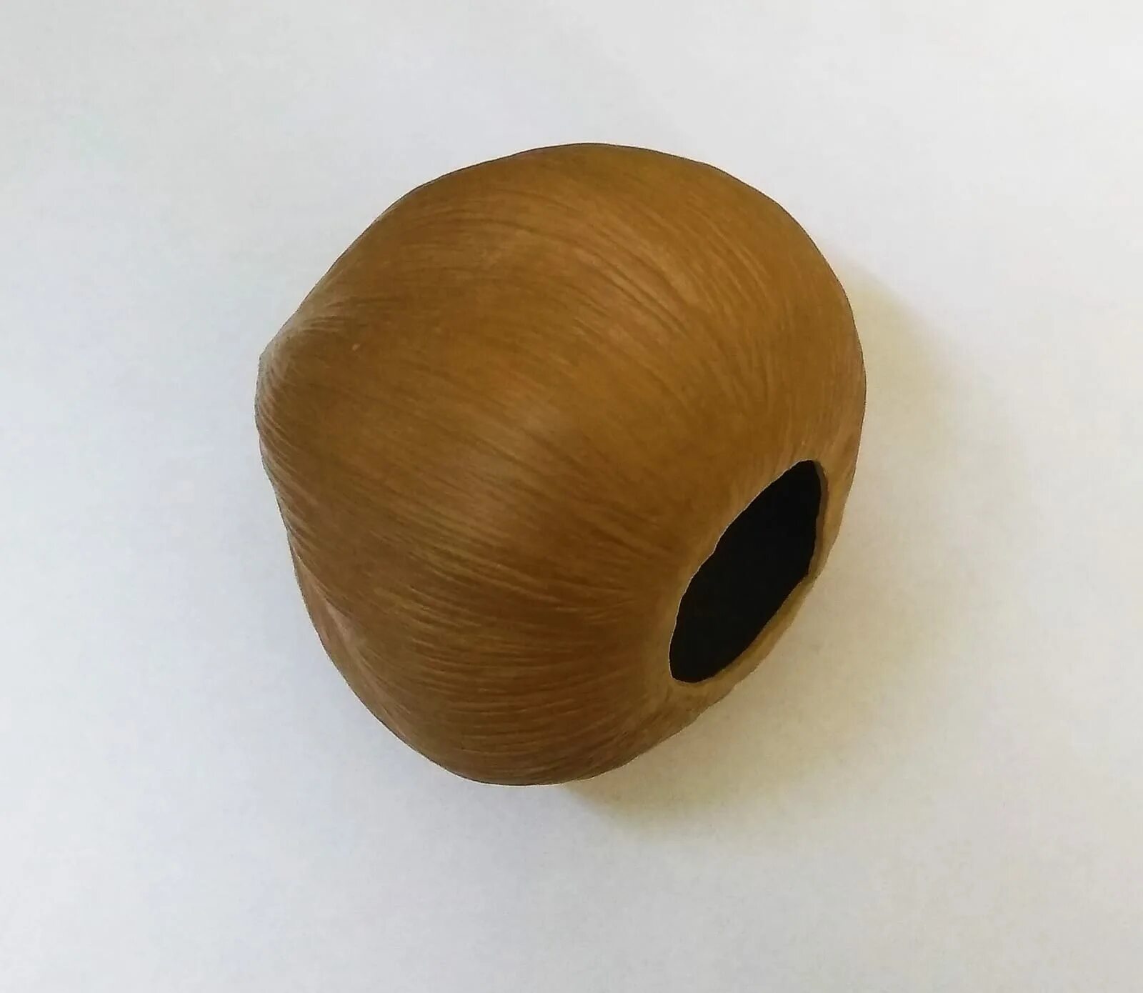 Кокос (10 мл). Волосатый кокос. Кокос 10. Дом для сомов из кокоса. Кокос 10.