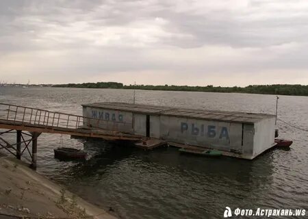 Су 4 трусовского