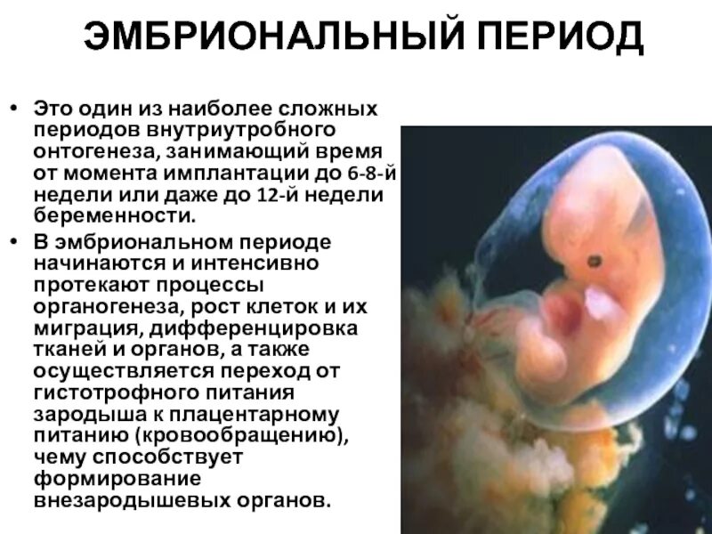 Внутриутробное оплодотворение