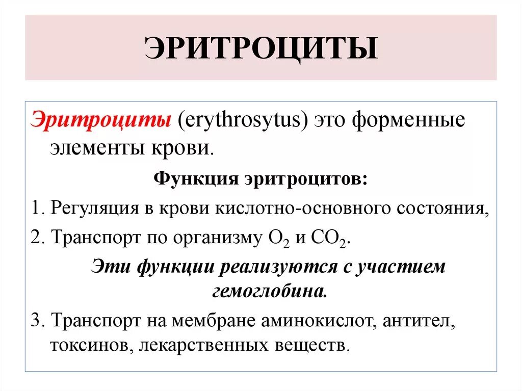 2 функция эритроцитов. Эритроциты выполняют функцию. Перечислите основные функции эритроцитов.. Функция эритроцитов в организме человека. Функции эритроцитов в крови.