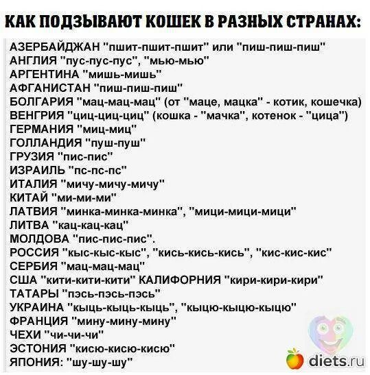 Как подзывают кошек в разных странах. Как подзывают кошек на разных языках. Кис кис на разных языках. Как зовут кошек на разных языках. Кис на русском языке