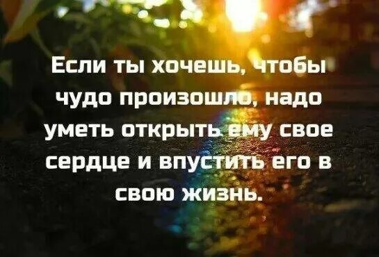 Часто бывает что чудеса. Чудеса бывают!. Чудеса случаются. Верь в чудо и оно произойдет. Произошло чудо.