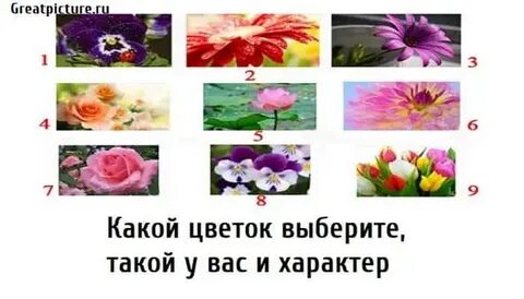 Тест какой я цветок