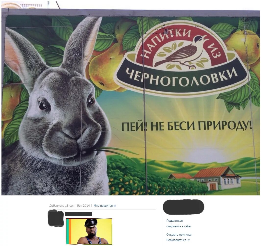 Пейте без остановки напитки из черноголовки юмор. Черноголовка пей не беси природу. Пейте без остановки напитки из черноголовки. Бенн ган чёрный властелин. Пейте черноголовку.