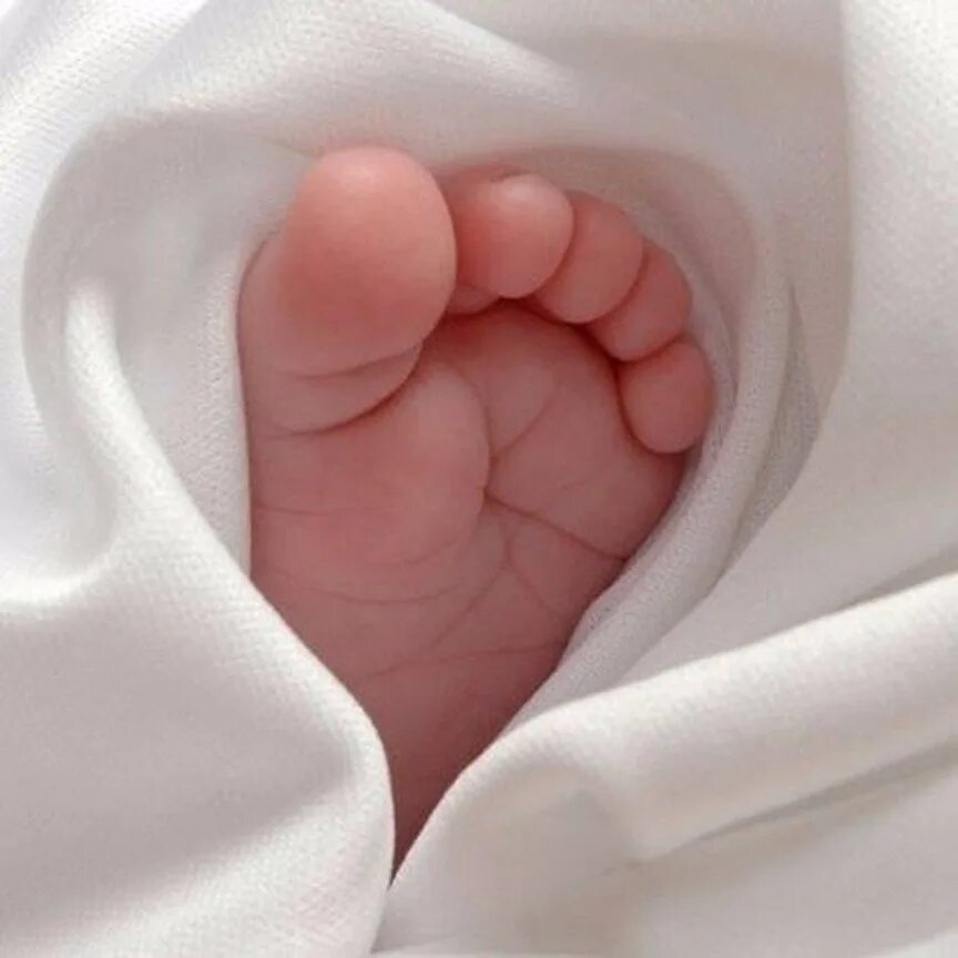 Ножки в 6 месяцев. Ручки новорожденного. Пяточки малыша. Ноги младенца. Ножки новорожденного ребенка.