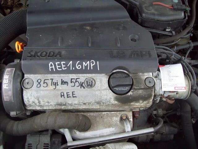 Aee octavia. 1.6 mpi aee.