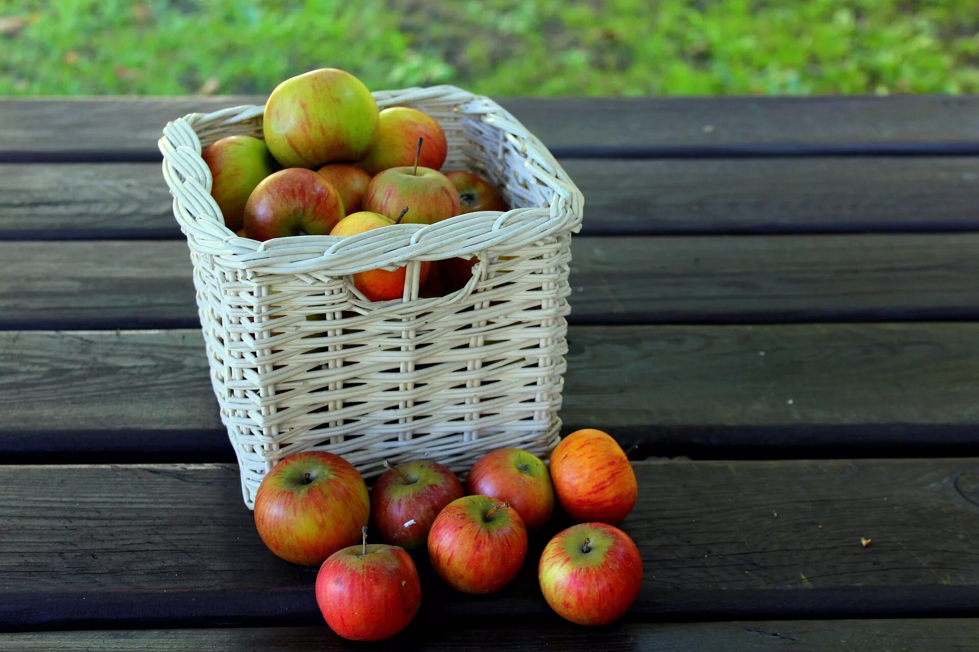 Осенью с яблони собрали яблоки желтые зеленые. Осенние яблоки. Корзинка с яблоками. Яблоко на столе. Корзина с яблоками осень.