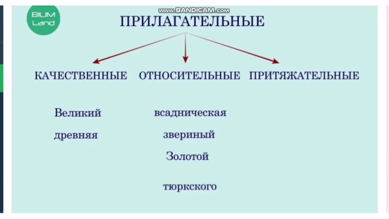 Качественные прилагательные 6 класс. Качественные относительные и притяжательные прилагательные. Разряды прилагательных. Разряды прилагательных степени сравнения прилагательных. Качественные относительные и притяжательные 6 класс