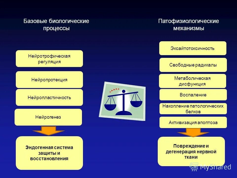 рост и развитие биологические процессы. важнейшие биологические процессы. неодогический процесс это. схемы биологических процессов. общие биологические процессы.