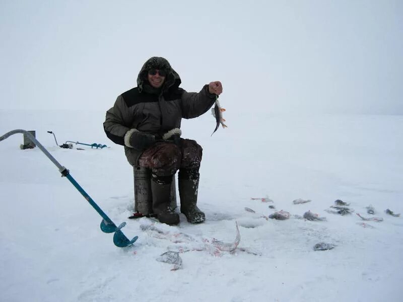 Сейчас рыбачить. Диалоги о рыбалке зима. Рыбак зимой на окуня в лунке. Рыбацкие забавы. Рыбалка рыболов Элит.