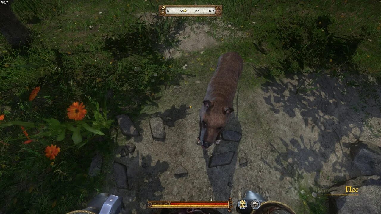Пес барбос kingdom come deliverance. Kingdom come собака. Kingdom come deliverance 4к. Kingdom come игра. Kingdom come собака.