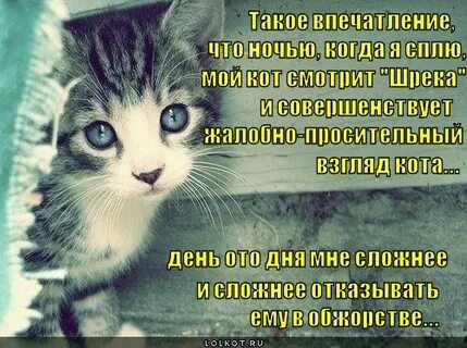 Жалобно спросила