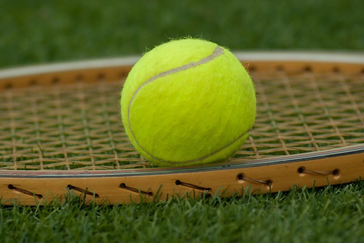 Теннисный мяч Wimbledon. Теннисный мяч Tennis point. Теннисные мячи Tennis Technology. Мяч для большого тенниса салатовый. Первый теннисный мяч
