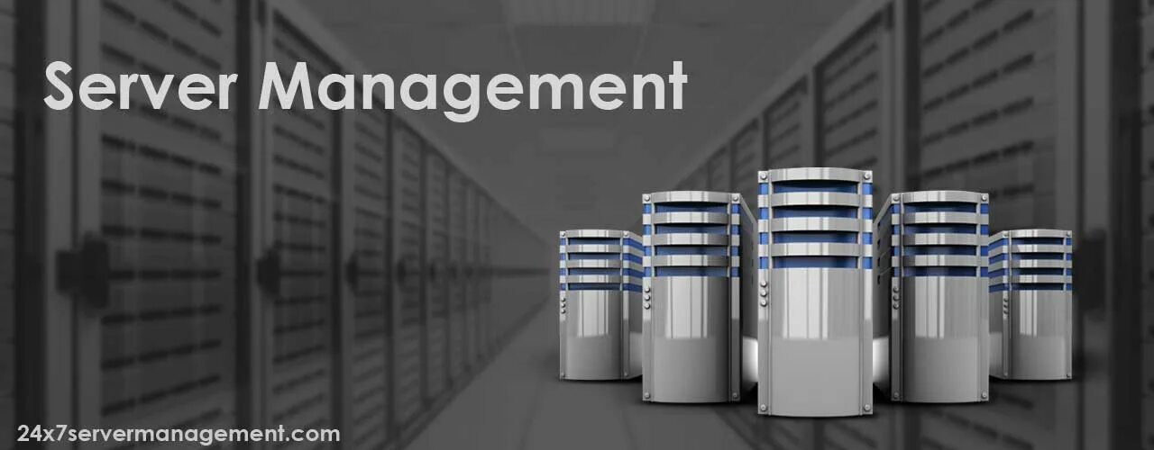 MGMT сервер. Server Management. 7 Сервер. MGMT сервер фото. Server значения