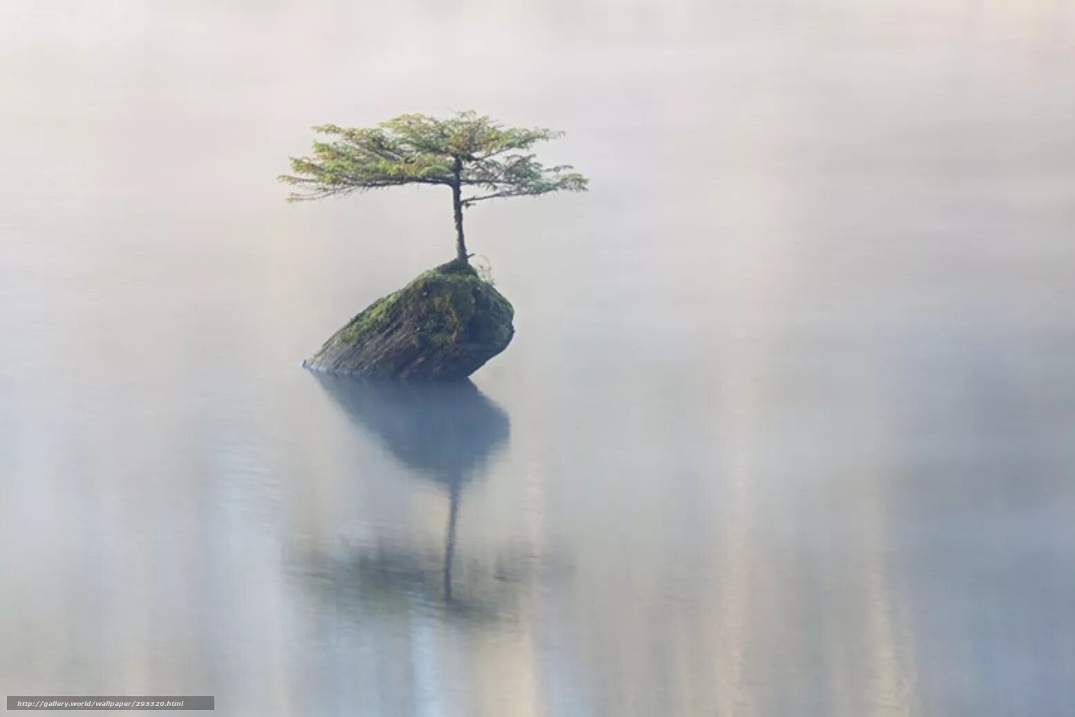 острые скалы в море. одиночество в горах. кекур колонна приморский край. человек сидит на скале. девушка на обрыве.