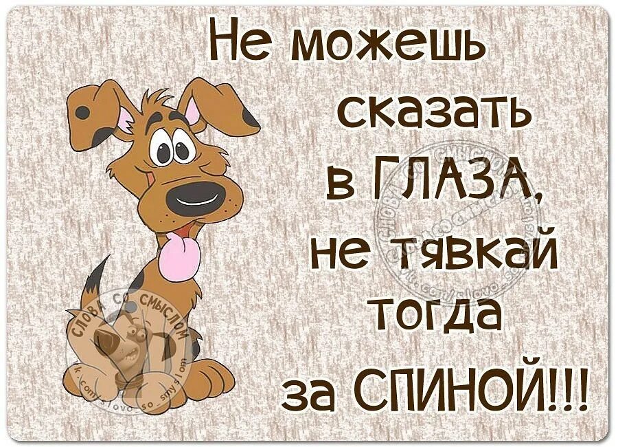 Не люблю обсуждать. Позитивные высказывания. За спиной говорят цитаты. Открытки со смешными высказываниями. Цитаты о людях которые говорят за спиной.