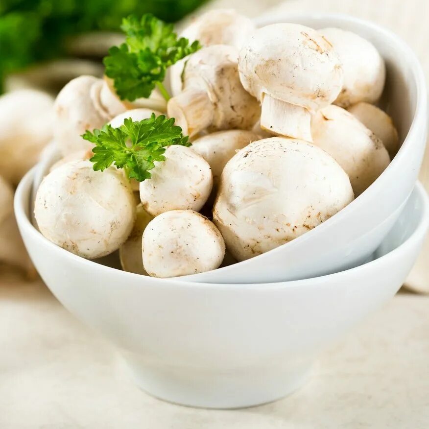 лечебный гриб шампиньоны. грибы шампиньоны (шампиньоны резаные ,400гр). грибы шампиньоны. шампиньон двуспоровый. грибы шампиньоны.