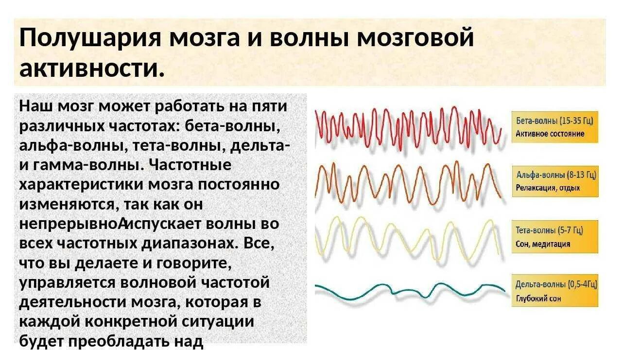 Частоты головного мозга. Волны мозга Альфа бета тета. Ритмы мозга Альфа бета тета Дельта ритмы. Альфа ритм бета ритм. Альфа бета гамма тета волны частоты мозга.