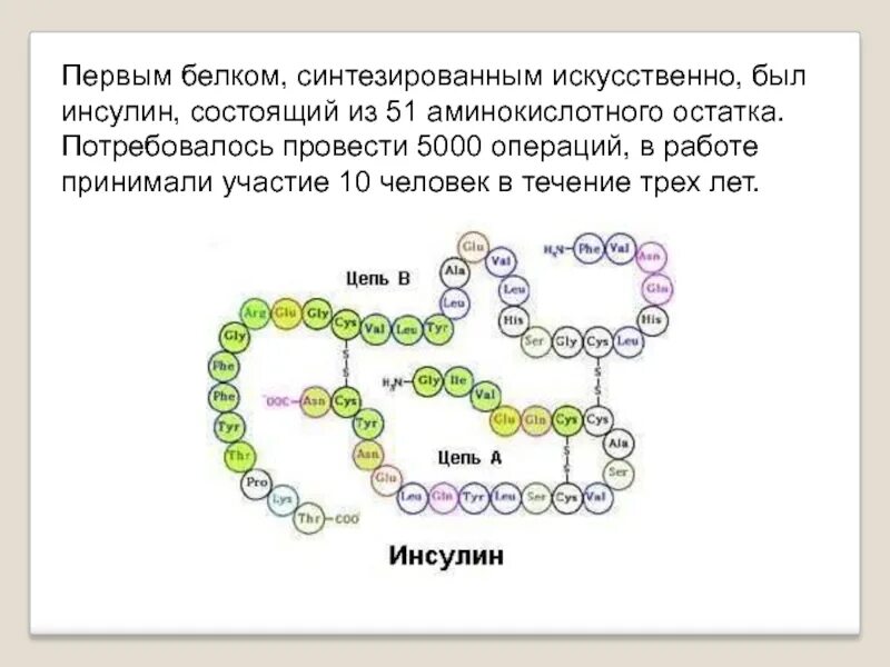 Цепочка белка. Первичная структура белка инсулина. инсулин строение молекулы. инсулин структура белка. первичная структура молекулы инсулина.