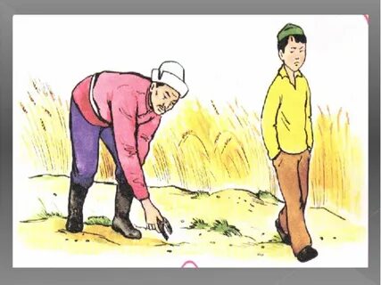 Секс туралы күлкілі суреттер