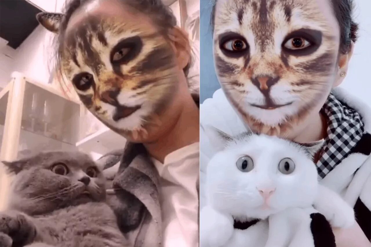 Кот под маской. Человек в маске кота. маска кошки. кот в маске для лица. милые котики с масками.