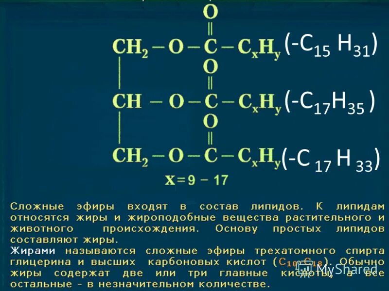 К какому классу относятся жиры. Жиры презентация. К какому классу относятся жиры. К какому классу веществ относятся жиры. Жиры относятся к классу.