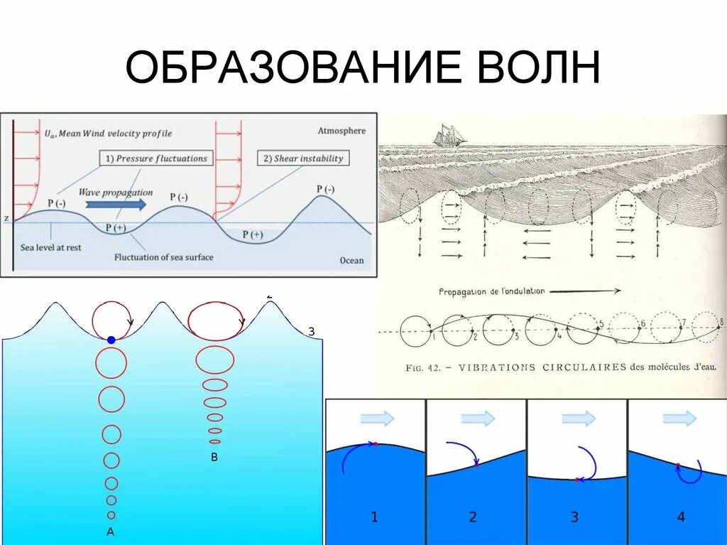 Движение волн. Механизм образования волны. Схема образования волн. Образование морских волн. Строение ветровой волны.