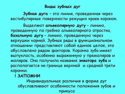 Виды дуг