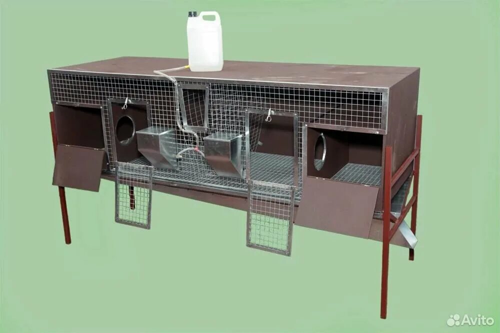 Моя милая клетка для кроликов. Кроличья клетка с маточником. Клетка для кроликов с маточником. Клетка с маточником для кроликов клетка с маточником для кроликов. Клетки с маточником для кроликов для двоих.