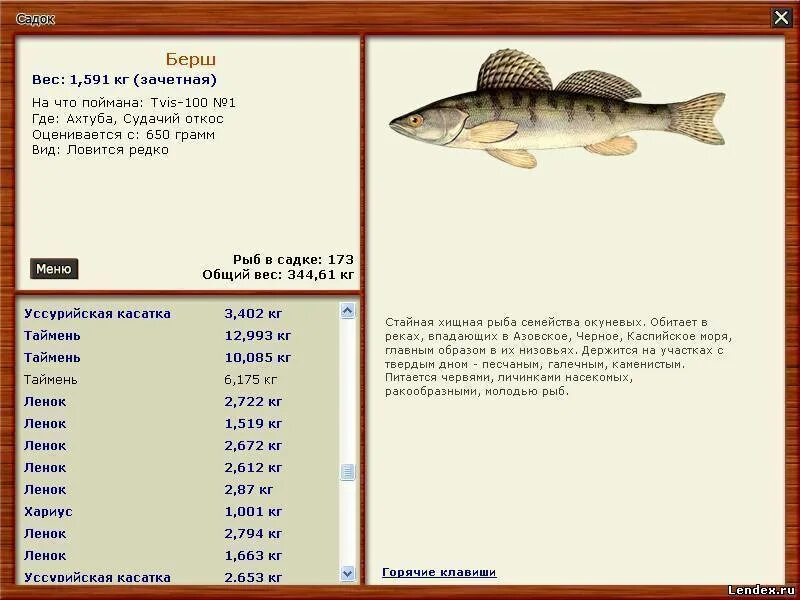 Рыбы которые водятся в реке Волга. Какая рыба ловится на Волге. Рыба обитающая в Волге.