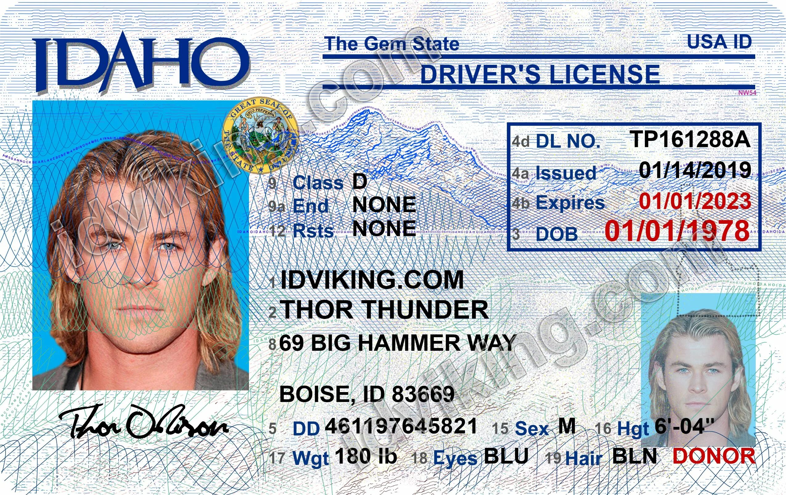 Ids license. Driver License ID. Idaho Driver License. Driver License USA. Idaho Driver License back.