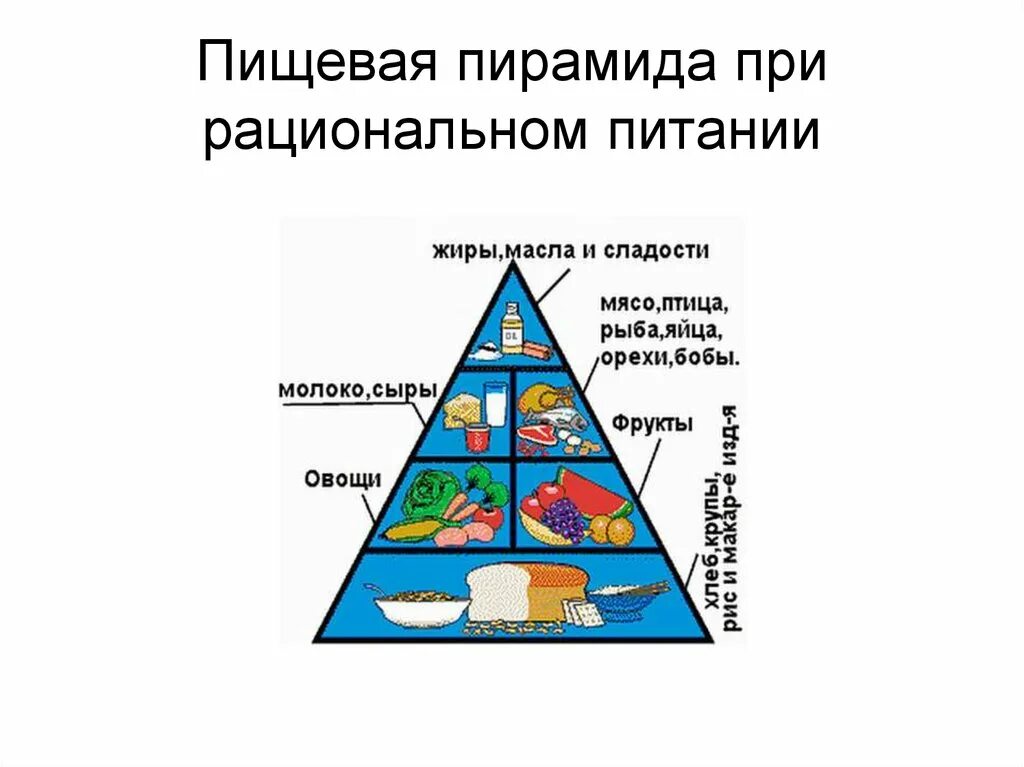 Из чего состоит наша пища. Из чего состоит наше питание. Пирамида питания пищевая пирамида. Из чего состоит наша еда.