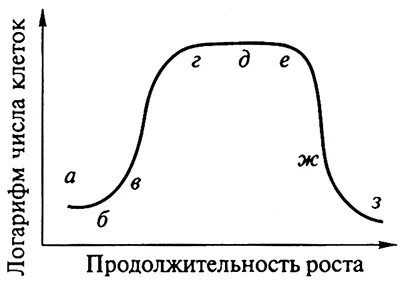 Температура размножения бактерий