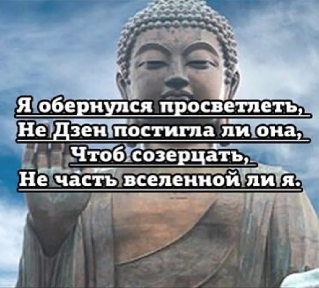 Непокорная рассказ на дзен 20. Познал дзен. Дзен юмор. Я постиг дзен. Дзен приколы.