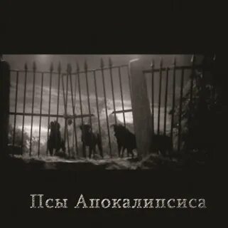 Золотько 1941 время кровавых псов