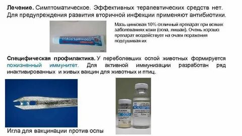 Что вводят в организм при вакцинации оспы