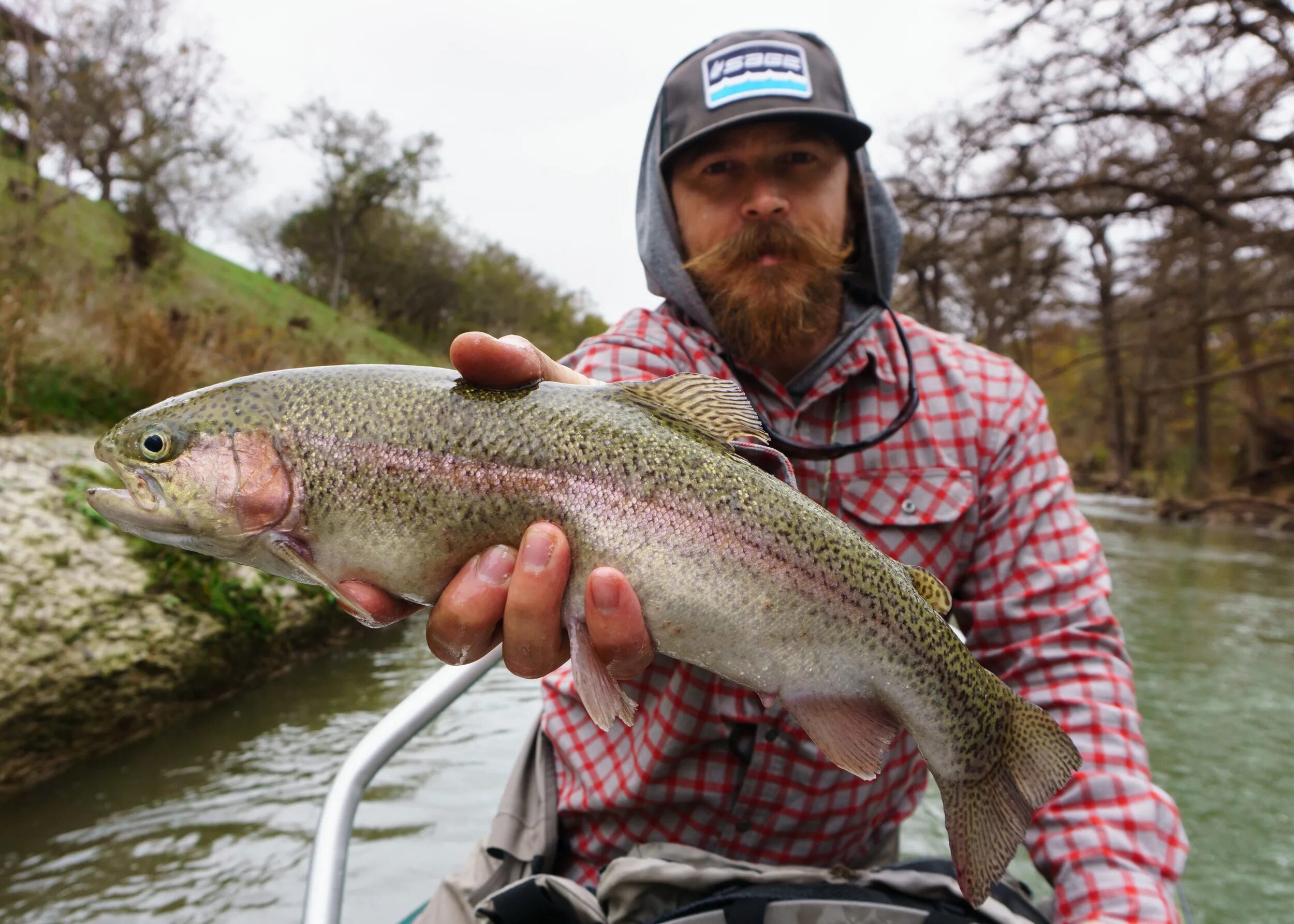 Area trout. Щегринка река форель. Щегринка река рыбалка. Форель на спиннинг. Рыбалка на форель.