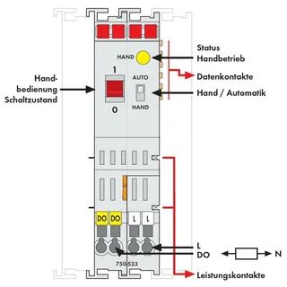 Api module