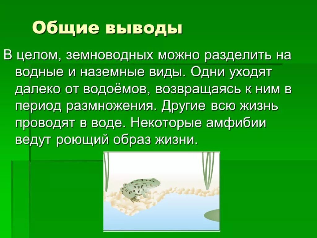 Годовой цикл жизни земноводных. Образ жизни земноводных проект. Жизненный цикл земноводных. Вывод про земноводных. Аргументируйте вывод о происхождении земноводных