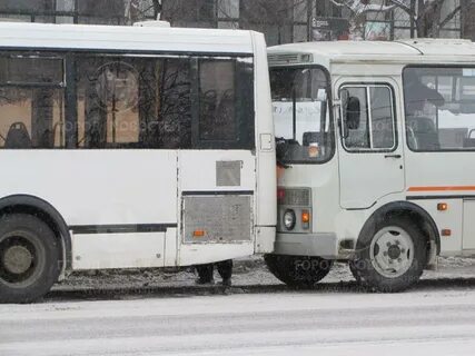 Трое автобусов