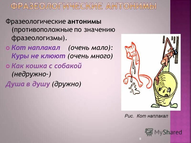 Антоним к слову ненависть. Антоним к слову зависть. Синонимы к слову толерантность. Виды толерантности и интолерантности. Ненависть противоположное слово.