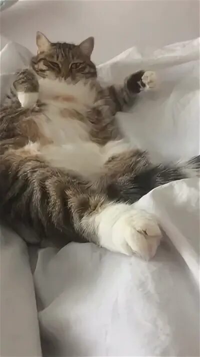 Лежит не взять. Лежит не взять