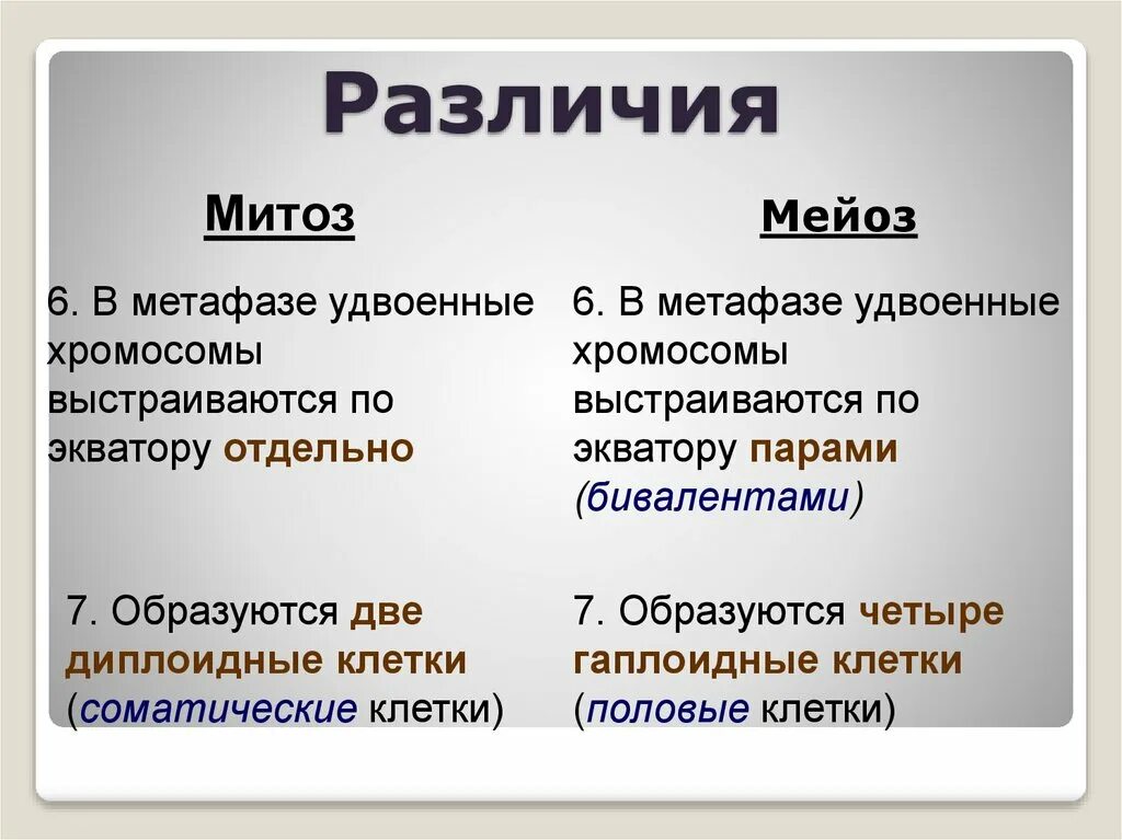 Сходства и отличия митоза и мейоза. Различия митоза и мейоза. Мейоз и митоз отличия. Деление клетки амитоз митоз мейоз. Различия между митозом и мейозом.